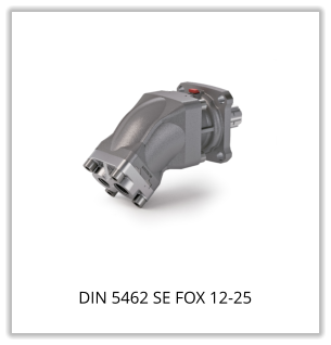 DIN 5462 SE FOX 12-25